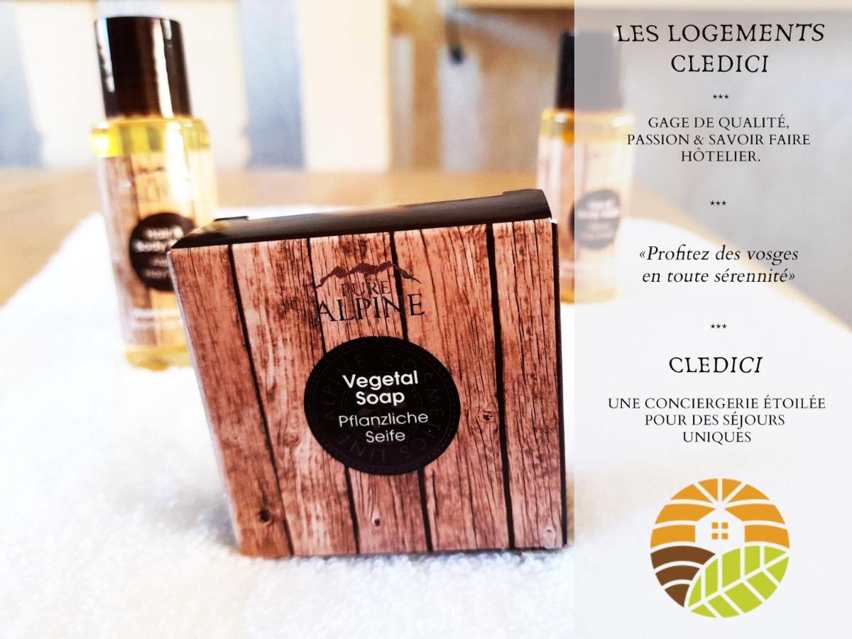 ⁂⁂ Le Nid De Pierre & Julie Cledicihome 2 Pas Du Centre Ville / Spa & Terasse Amenagee ⁂⁂ La Bresse Εξωτερικό φωτογραφία
